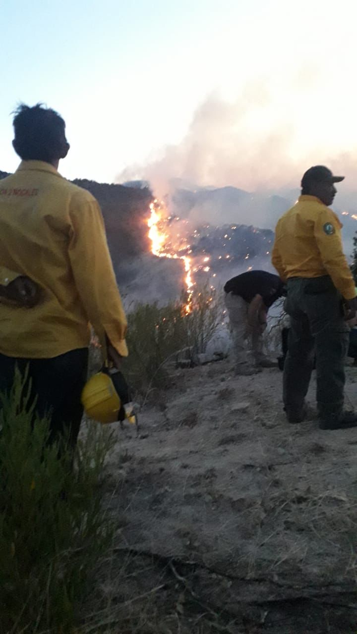 LLAMAN A APOYAR A COMBATIENTES DE INCENDIO EN IMURIS CON ALIMENTOS
