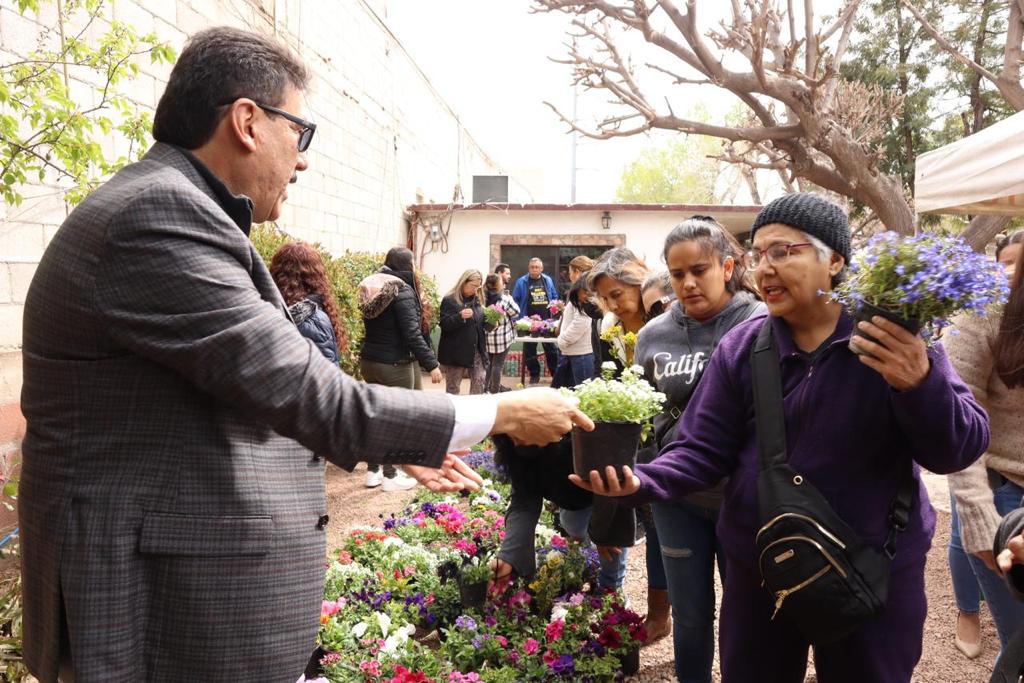 ENTREGAN TRES MIL PLANTAS  POR INICIO DE LA PRIMAVERA