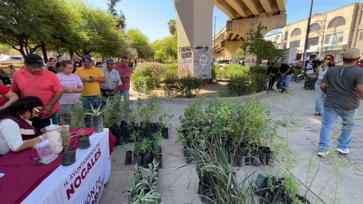 Reactiva Gobierno de la Ciudad vivero municipal