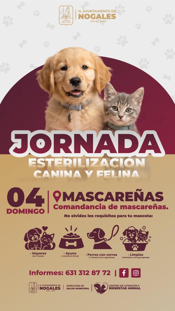 Acercan servicios de bienestar animal a las colonias