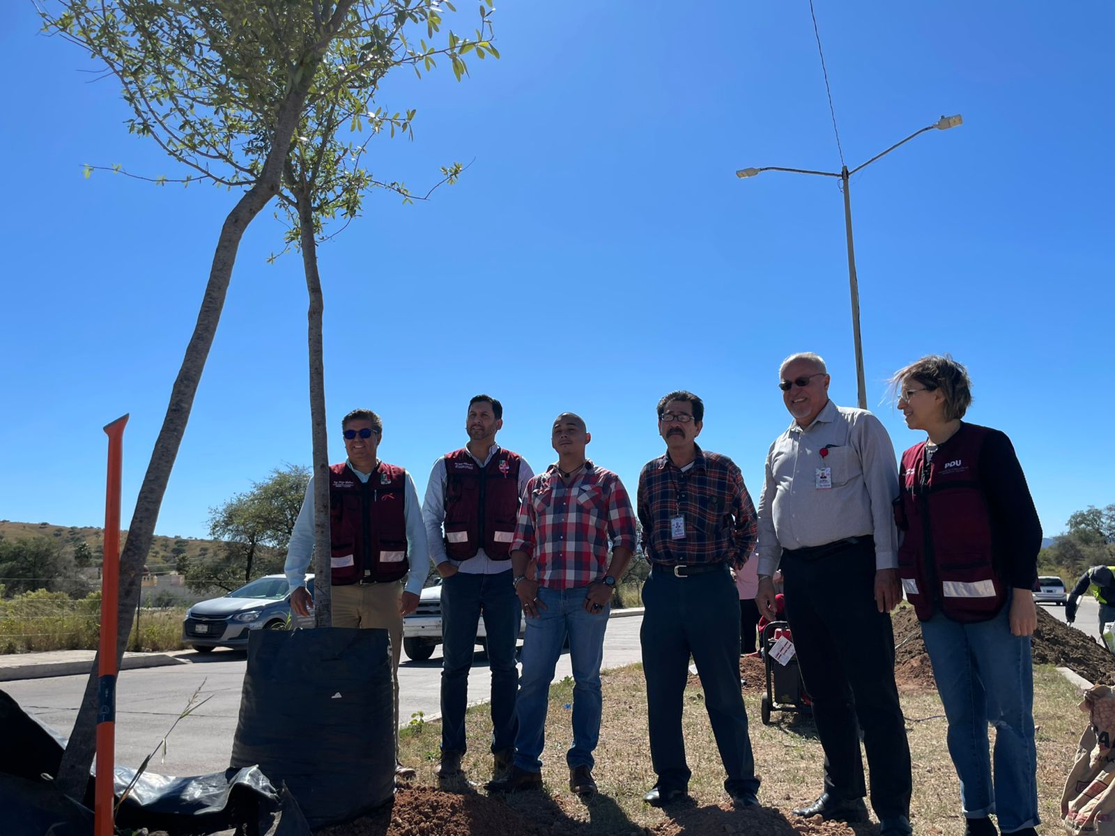 RESTITUYEN 30 ÁRBOLES DE ENCINO AL MEDIO AMBIENTE