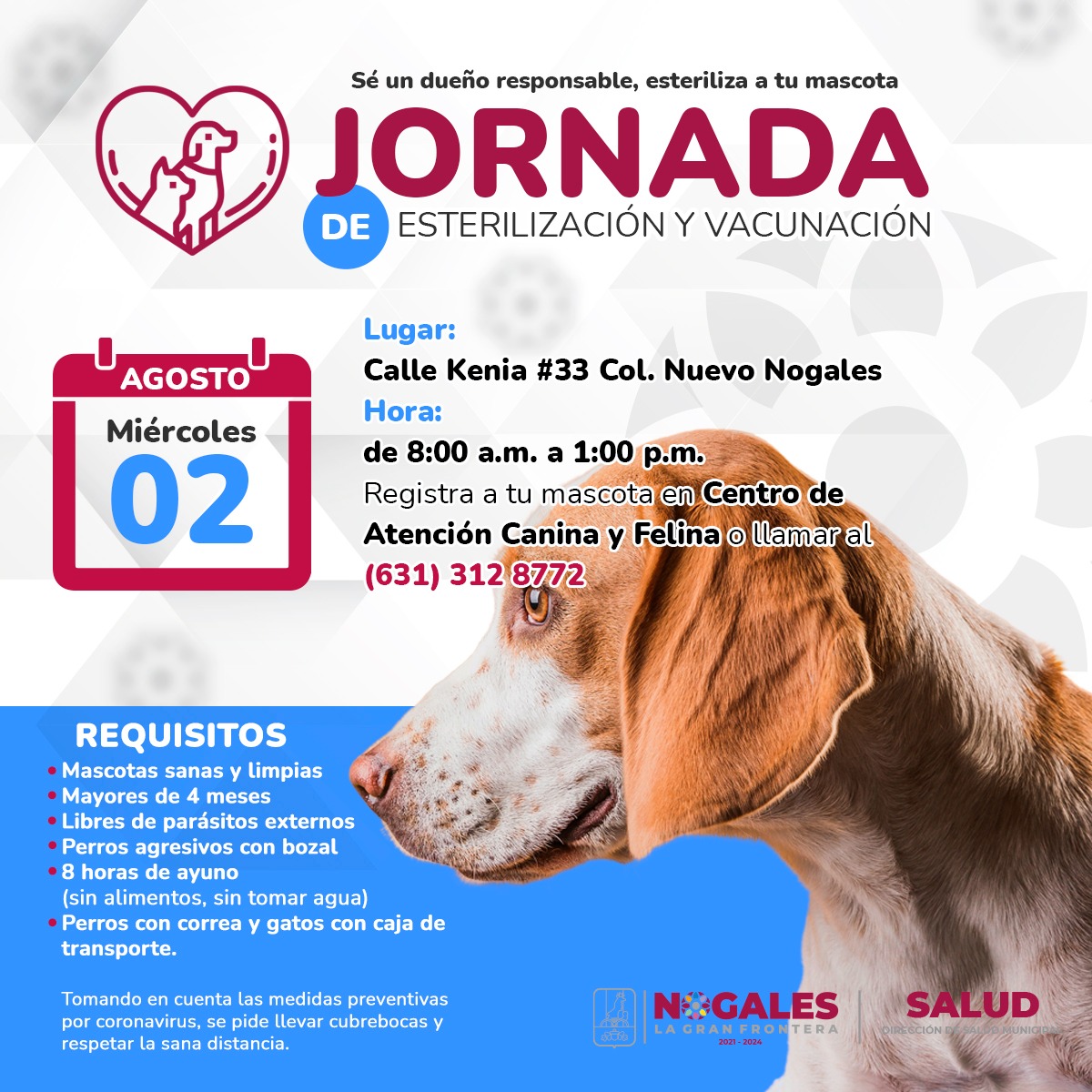 INVITAN A JORNADA DE CASTRACIÓN DE PERROS