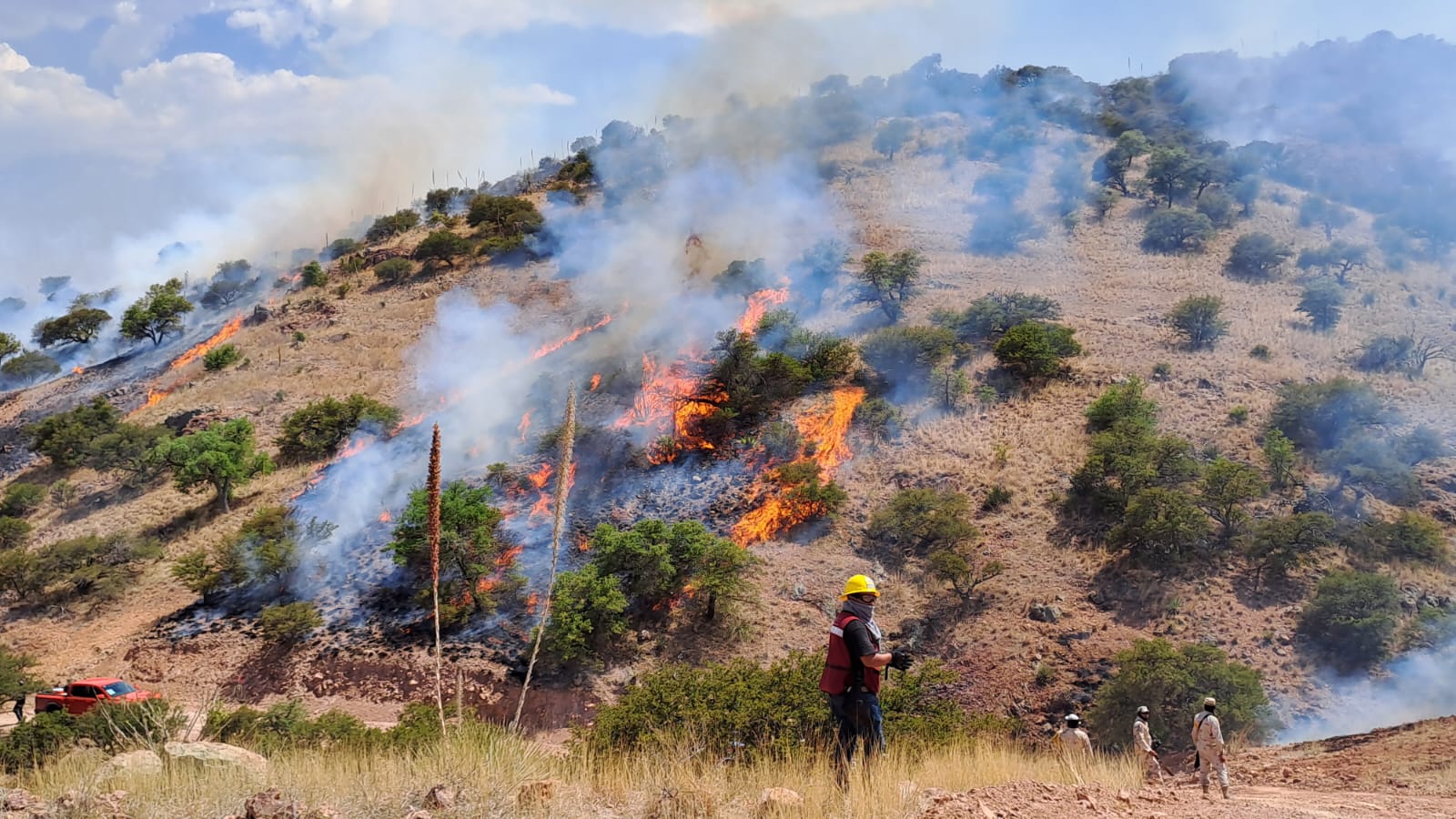 UNEN ESFUERZOS PARA CONTROLAR EL INCENDIO EN CERRO EL PINO