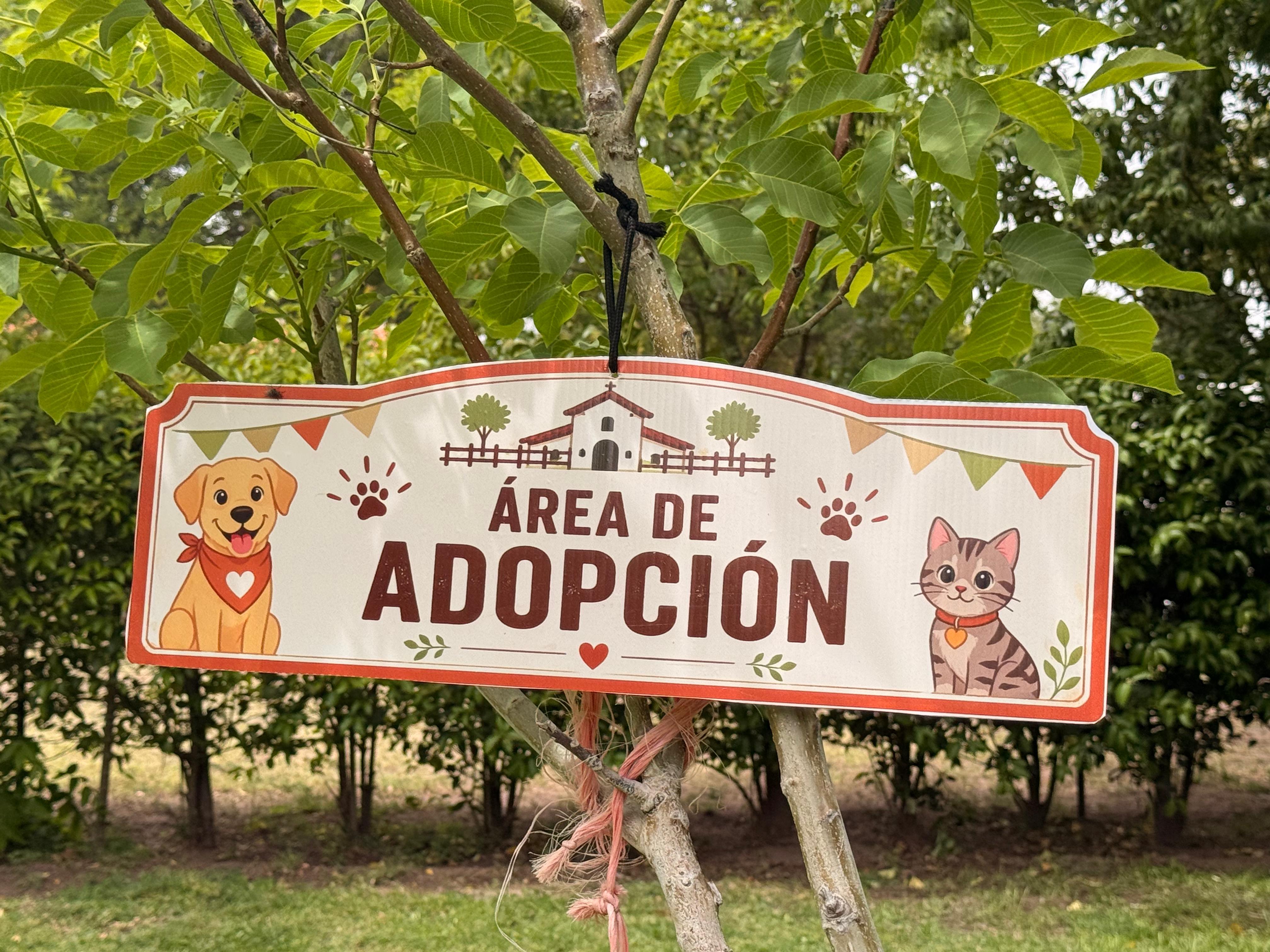 Fortalecen bienestar animal con jornada de esterilización